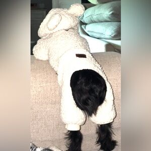 XSmall Puppy Cloths and Accessories